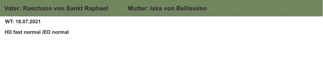 WT: 18.07.2021  HD fast normal /ED normal  Vater: Raschano von Sankt Raphael Mutter: Iska von Bellissimo