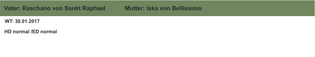 WT: 30.01.2017  HD normal /ED normal  Vater: Raschano von Sankt Raphael Mutter: Iska von Bellissimo