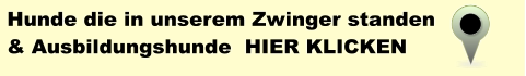 Hunde die in unserem Zwinger standen  & Ausbildungshunde  HIER KLICKEN