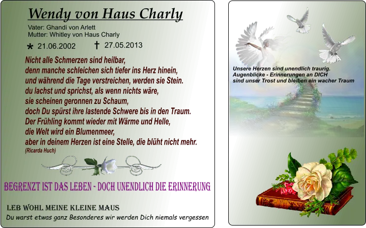 LEB WOHL MEINE KLEINE MAUS  Du warst etwas ganz Besonderes wir werden Dich niemals vergessen Wendy von Haus Charly Vater: Ghandi von Arlett Mutter: Whitley von Haus Charly * 21.06.2002 27.05.2013 I I Begrenzt ist das Leben - doch unendlich die Erinnerung Nicht alle Schmerzen sind heilbar, denn manche schleichen sich tiefer ins Herz hinein, und während die Tage verstreichen, werden sie Stein. du lachst und sprichst, als wenn nichts wäre, sie scheinen geronnen zu Schaum, doch Du spürst ihre lastende Schwere bis in den Traum. Der Frühling kommt wieder mit Wärme und Helle, die Welt wird ein Blumenmeer, aber in deinem Herzen ist eine Stelle, die blüht nicht mehr.  (Ricarda Huch)  Unsere Herzen sind unendlich traurig. Augenblicke - Erinnerungen an DICH  sind unser Trost und bleiben ein wacher Traum