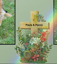 Paula & Pacco