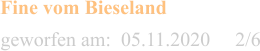 geworfen am:  05.11.2020     2/6  Fine vom Bieseland