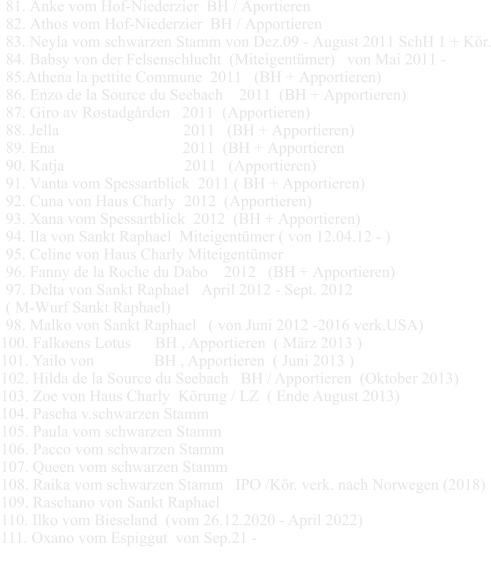 81. Anke vom Hof-Niederzier  BH / Aportieren 82. Athos vom Hof-Niederzier  BH / Apportieren 83. Neyla vom schwarzen Stamm von Dez.09 - August 2011 SchH 1 + Kör. 84. Babsy von der Felsenschlucht  (Miteigentümer)   von Mai 2011 -  85.Athena la pettite Commune  2011   (BH + Apportieren) 86. Enzo de la Source du Seebach    2011  (BH + Apportieren) 87. Giro av Røstadgården   2011  (Apportieren) 88. Jella                               2011   (BH + Apportieren) 89. Ena                                2011  (BH + Apportieren 90. Katja                              2011   (Apportieren) 91. Vanta vom Spessartblick  2011 ( BH + Apportieren) 92. Cuna von Haus Charly  2012  (Apportieren) 93. Xana vom Spessartblick  2012  (BH + Apportieren) 94. Ila von Sankt Raphael  Miteigentümer ( von 12.04.12 - ) 95. Celine von Haus Charly Miteigentümer  96. Fanny de la Roche du Dabo    2012   (BH + Apportieren) 97. Delta von Sankt Raphael   April 2012 - Sept. 2012  ( M-Wurf Sankt Raphael) 98. Malko von Sankt Raphael   ( von Juni 2012 -2016 verk.USA)                                      100. Falkøens Lotus      BH , Apportieren  ( März 2013 ) 101. Yailo von               BH , Apportieren  ( Juni 2013 ) 102. Hilda de la Source du Seebach   BH / Apportieren  (Oktober 2013) 103. Zoe von Haus Charly  Körung / LZ  ( Ende August 2013)  104. Pascha v.schwarzen Stamm 105. Paula vom schwarzen Stamm 106. Pacco vom schwarzen Stamm 107. Queen vom schwarzen Stamm  108. Raika vom schwarzen Stamm   IPO /Kör. verk. nach Norwegen (2018) 109. Raschano von Sankt Raphael   110. Ilko vom Bieseland  (vom 26.12.2020 - April 2022) 111. Oxano vom Espiggut  von Sep.21 -