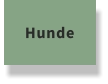 Hunde