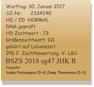 Wurftag: 30. Januar 2017 SZ-Nr.      2334240 HD / ED  NORMAL  DNA geprüft HD Zuchtwert : 73 Größenzuchtwert: 101  gekört auf Lebenszeit IPG 2  Zuchtbewertung  V- LGS Inzucht: Yasko Farbenspiel (5-4) Zamp Thermodos (5-3) BSZS 2018 sg47 JHK R