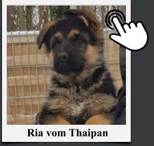 Ria vom Thaipan