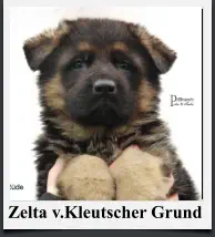 Zelta v.Kleutscher Grund