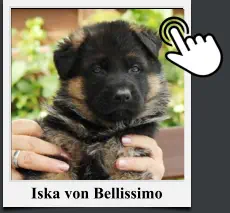 Iska von Bellissimo