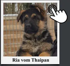 Ria vom Thaipan