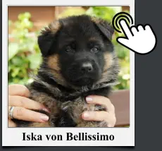 Iska von Bellissimo